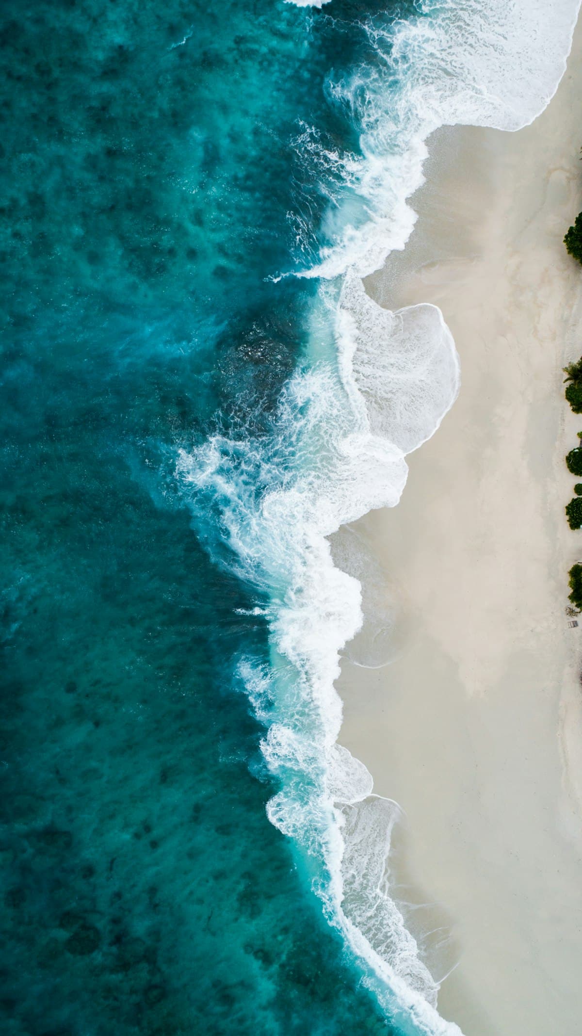 Best Surf Destinations in the World