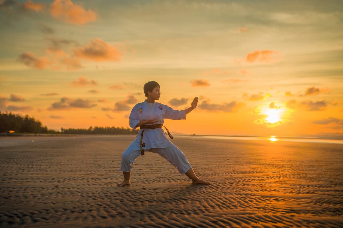 Best Martial Artists of All Time