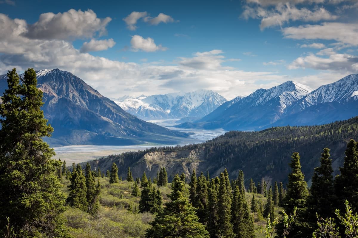Best Reggae Artists of All Time