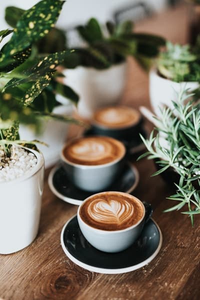 Intelligentsia Black Cat Espresso