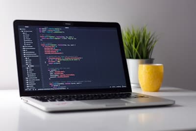 Web Development Freelancing