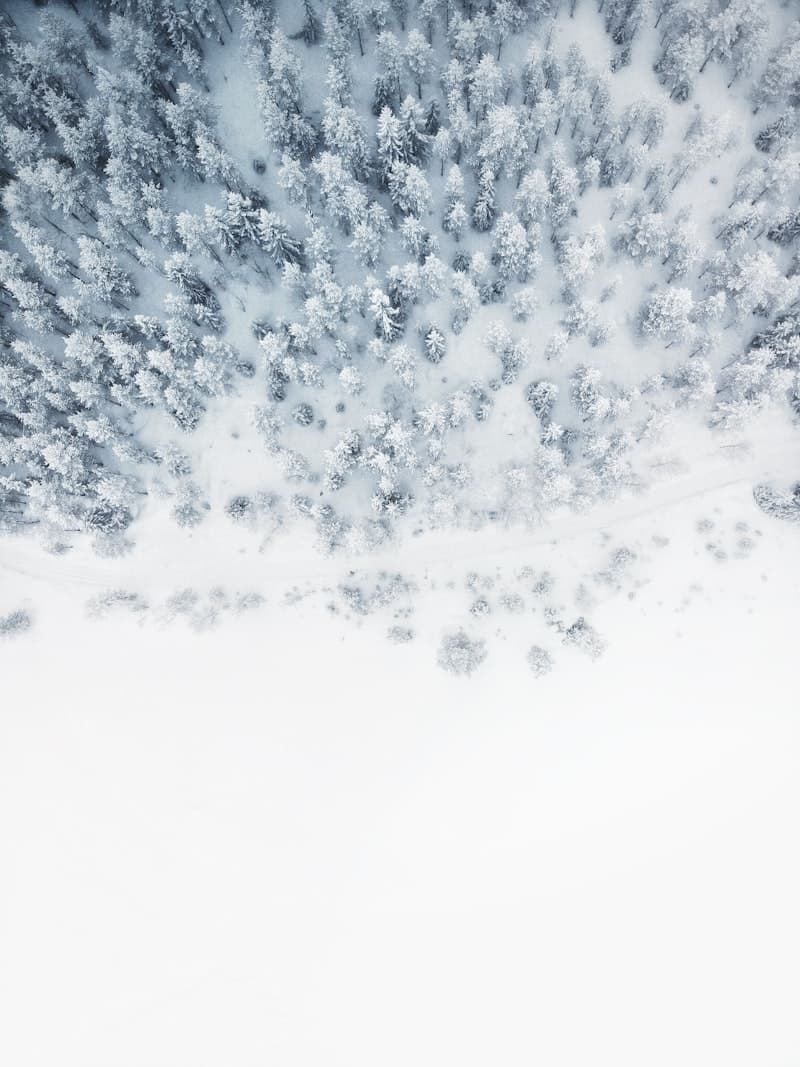 Jones Flagship Snowboard