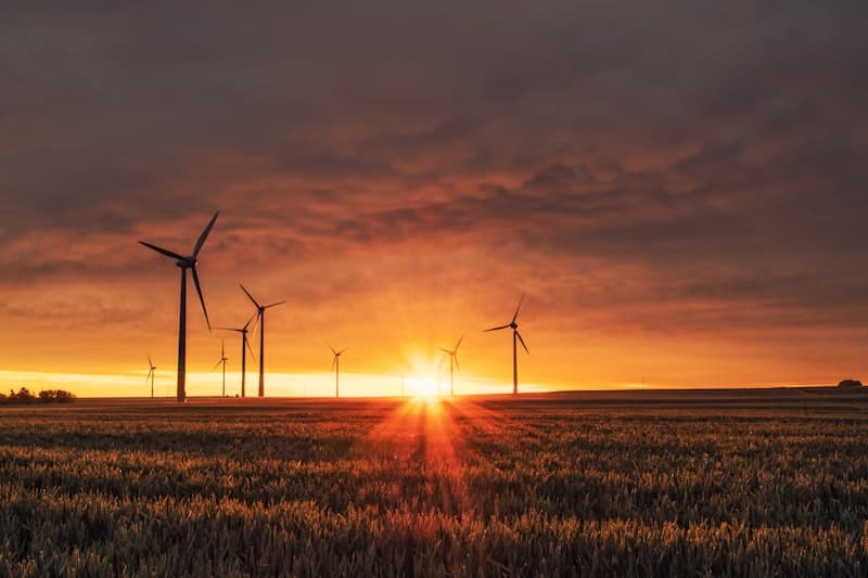 Solar and Wind Energy Trade Apprenticeships