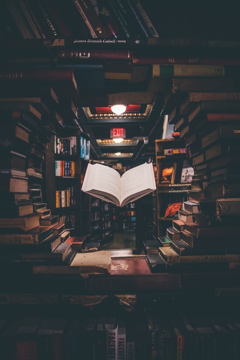 The Story of Philosophy by Will Durant