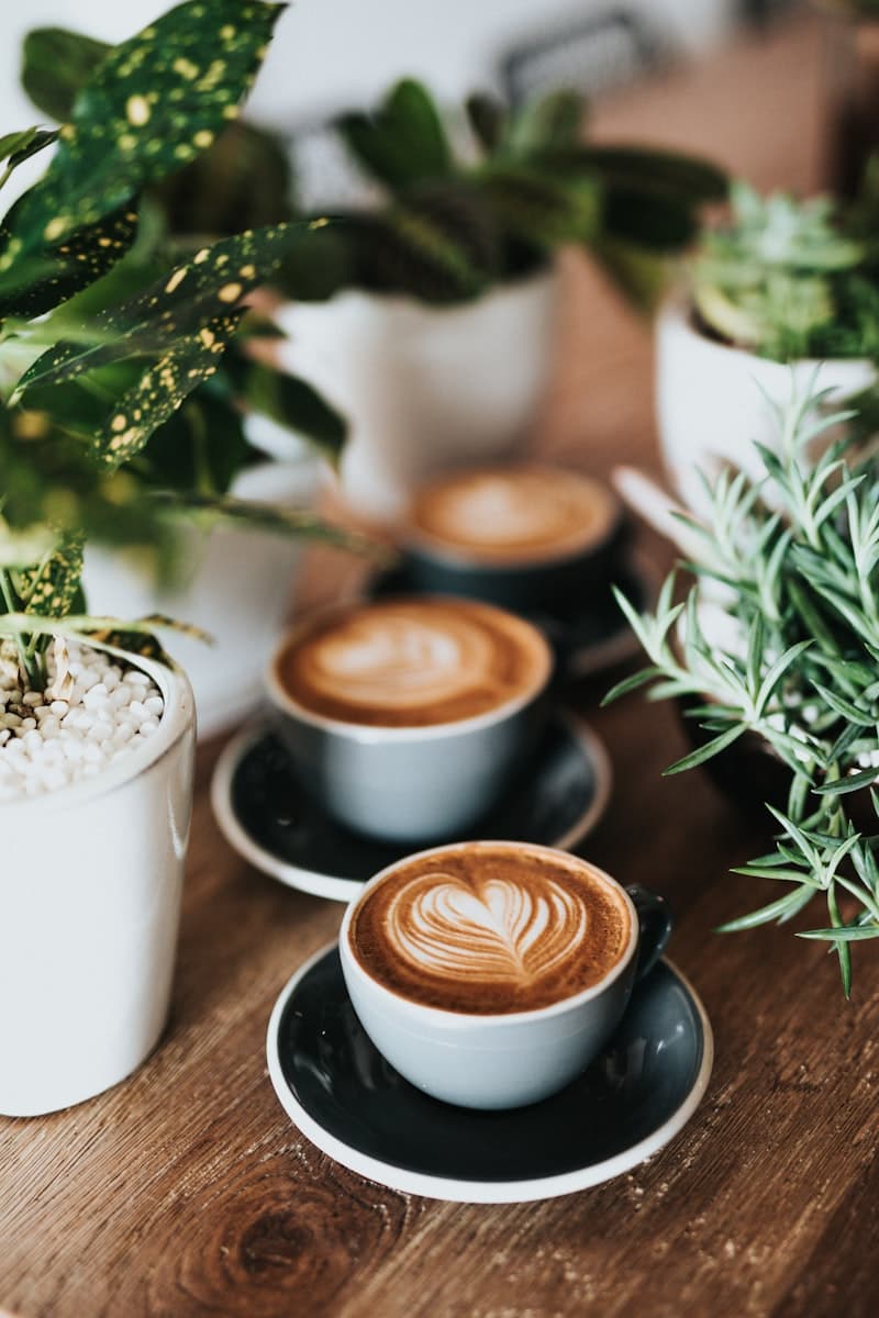 Pour-Over (Hario V60, Chemex)