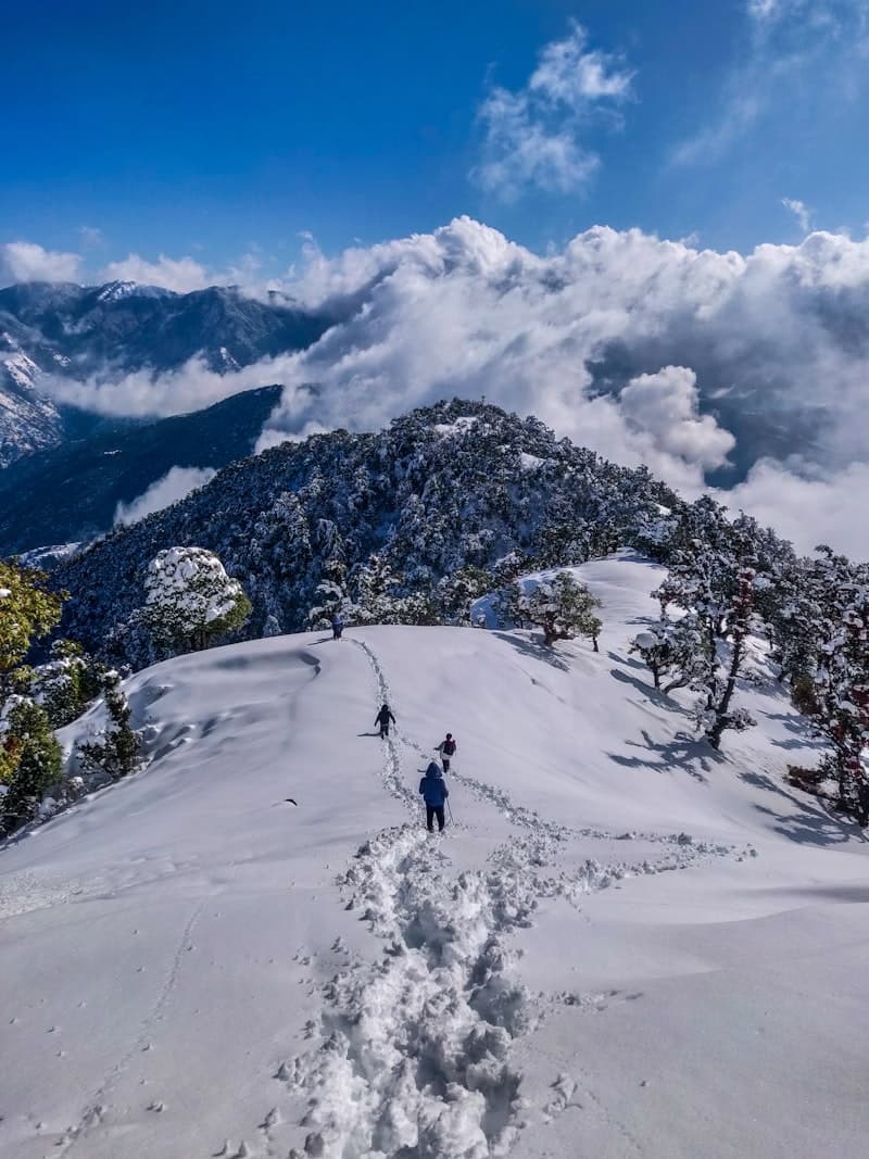 Munsiyari, Uttarakhand