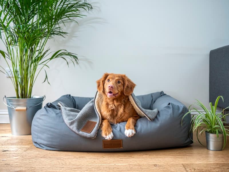 Visit the Clinic Before Your First Appointment