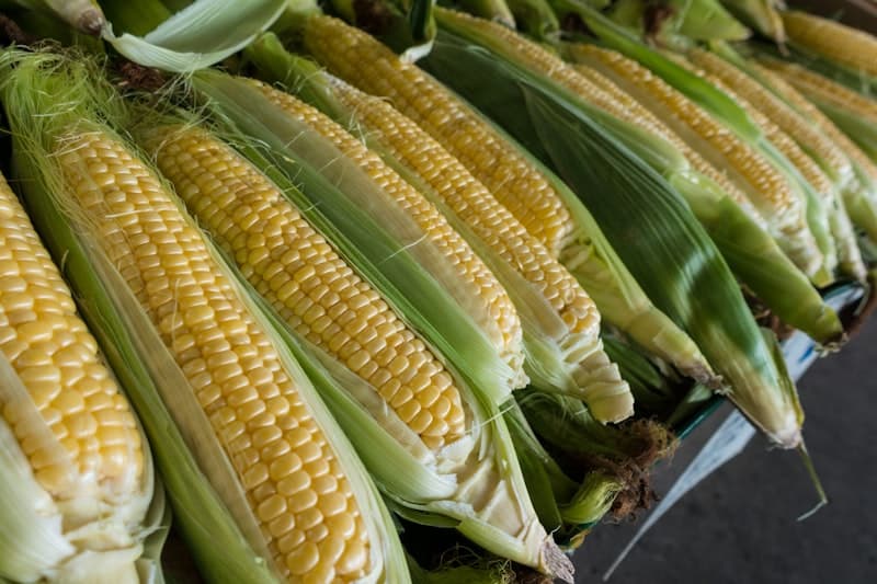 Grilled Corn on the Cob