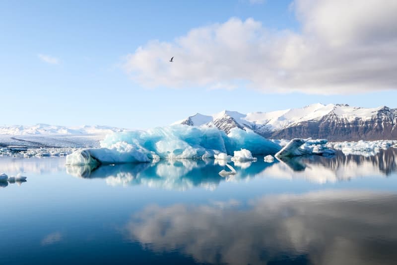 Kenai Fjords, Alaska